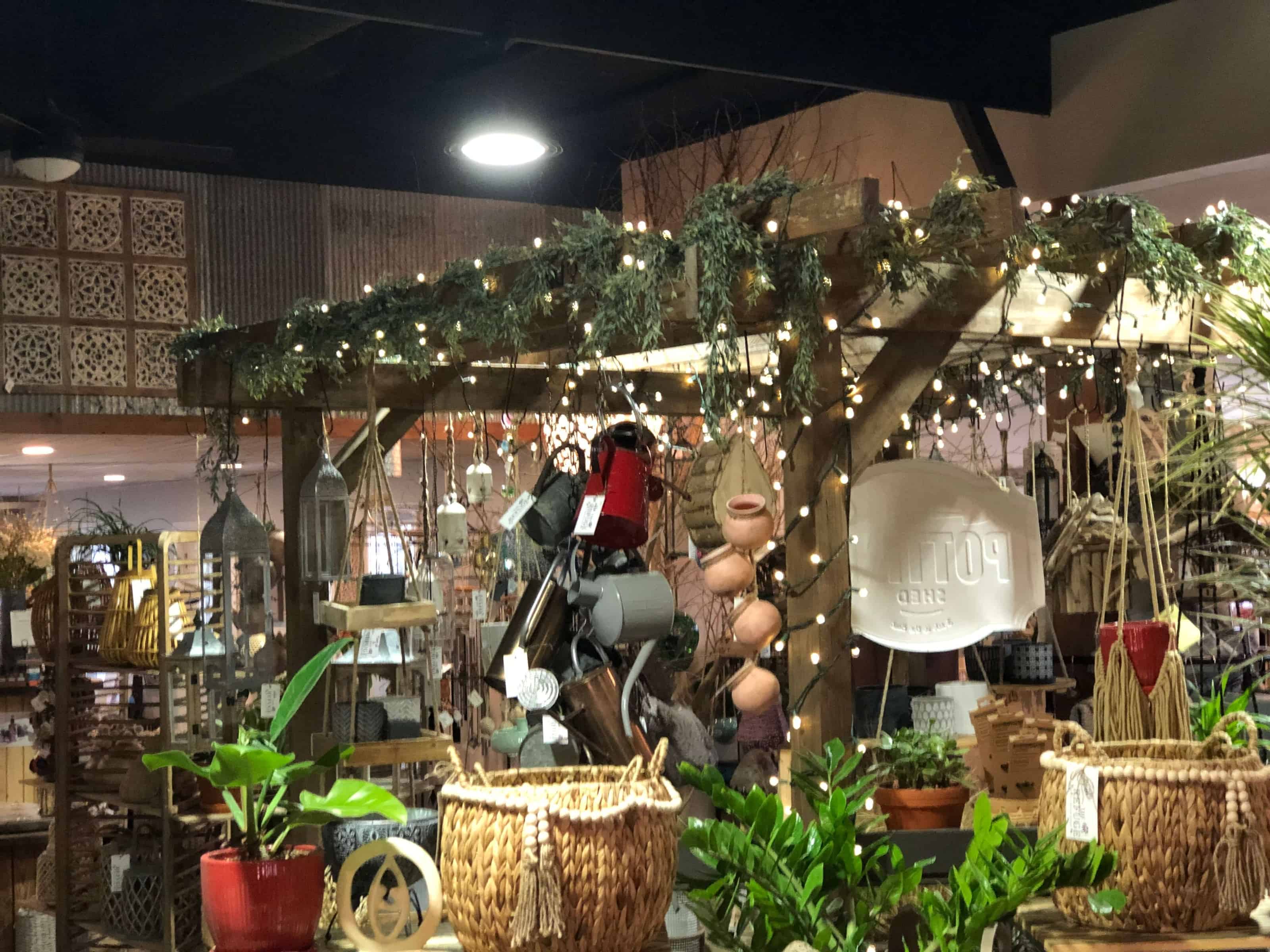 The Landmark Nursery Story